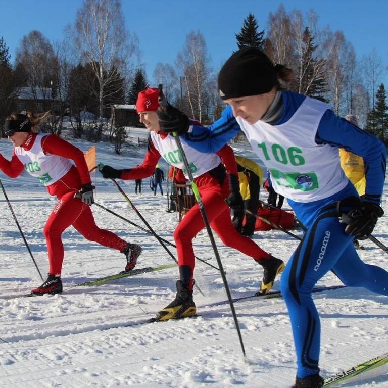 Образовательная программа 