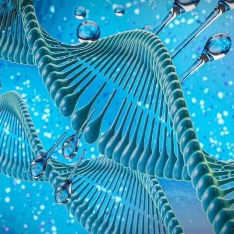 Профильная смена «Молекулярная биология», c 31 мая по 6 июня 2026 года